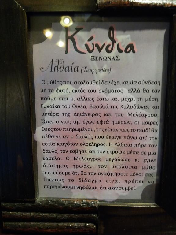 Kynthia Guesthouse Νεοχώρι Εξωτερικό φωτογραφία